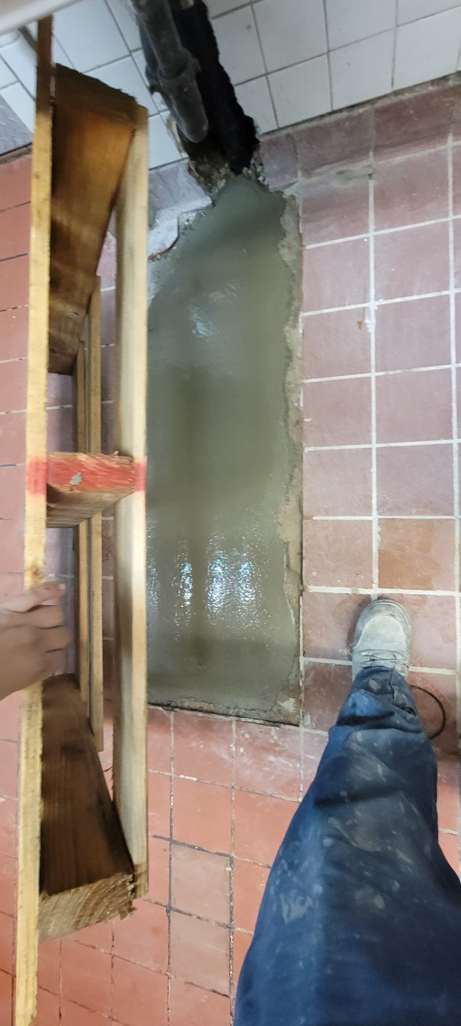 Clean basement ceiling, suggesting effective water damage and odor removal. Absence of water stains indicates successful maintenance. The space implies a quiet environment.