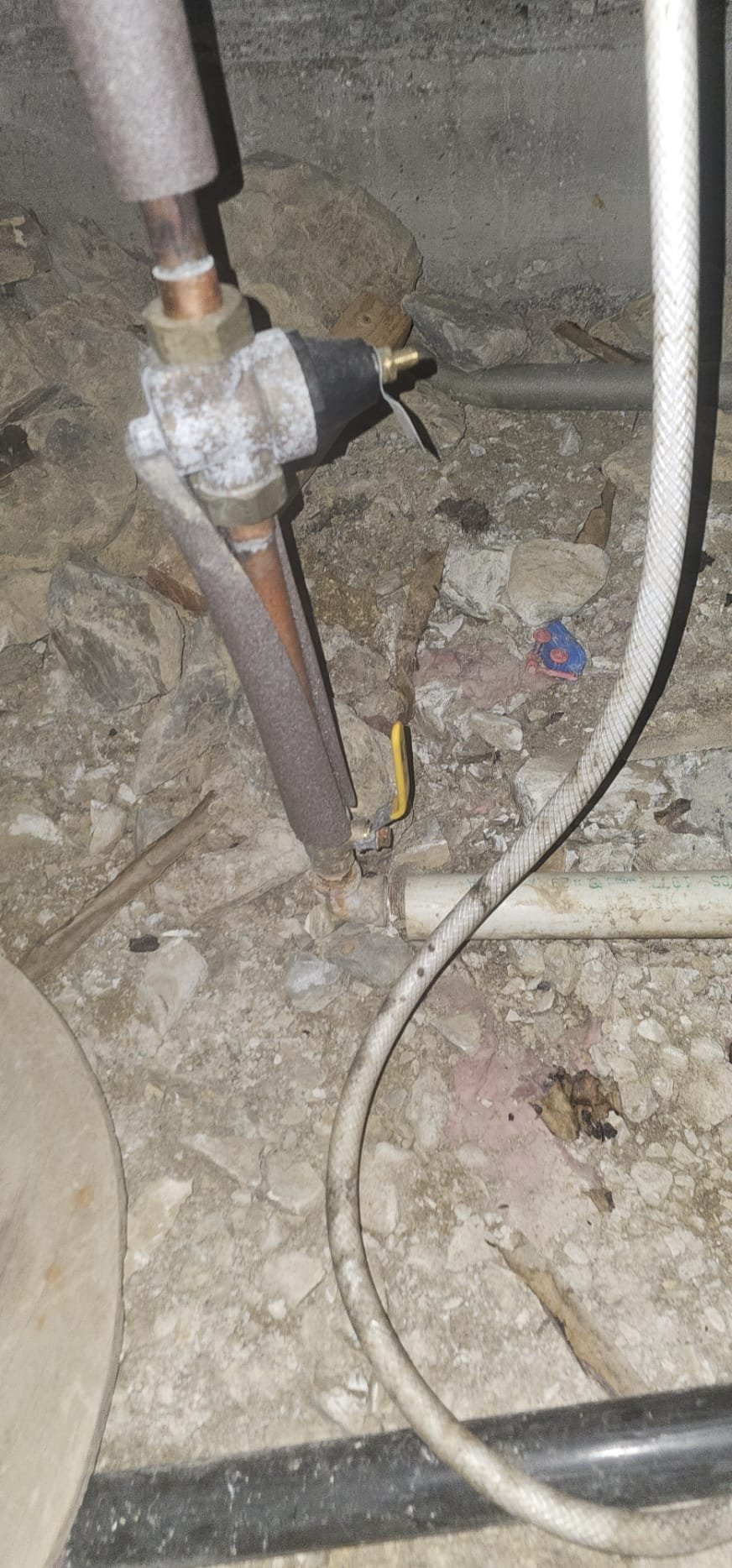 Residential ceiling water damage inspection to assess repair and maintenance needs. Identifying issues for effective water damage recovery.