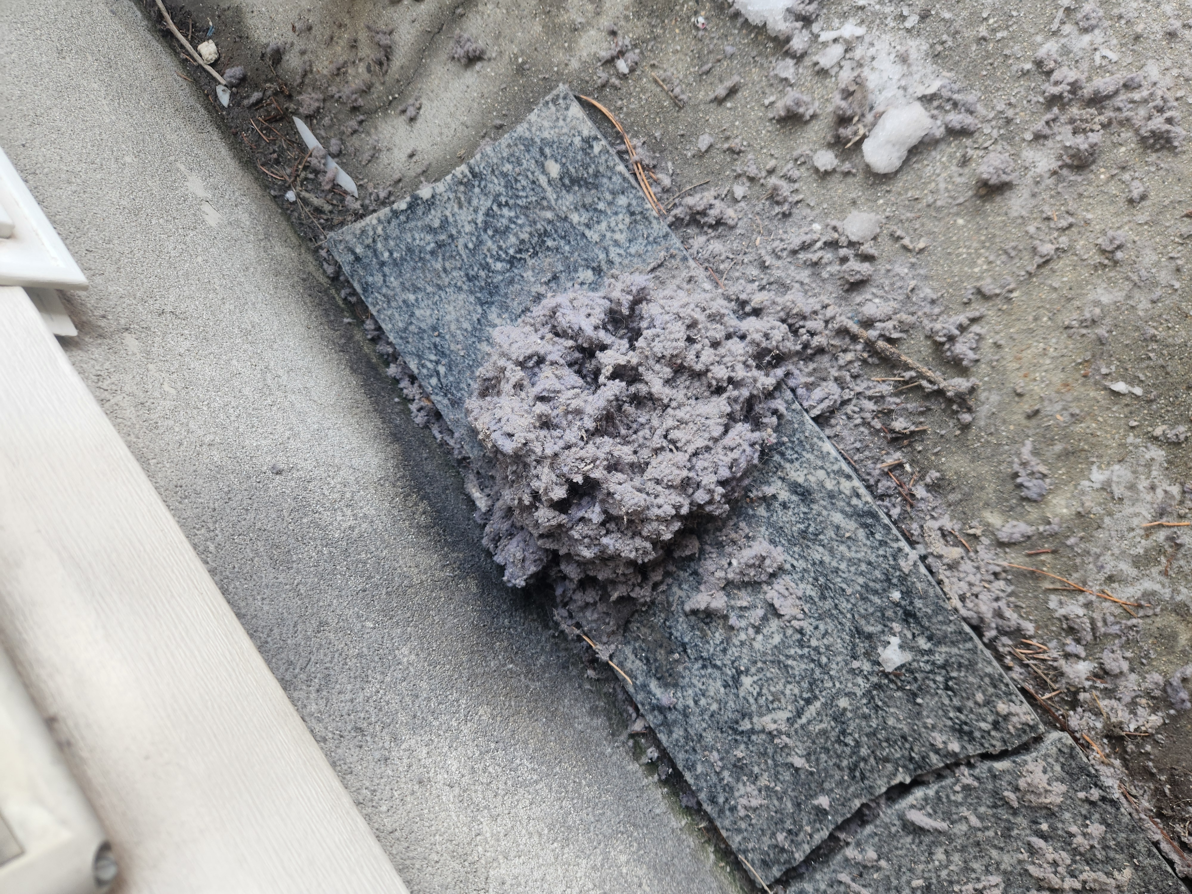Sparkling clean commercial bathroom sink, achieved with baking soda and vinegar, showcasing the effectiveness of professional mold cleaning and highlighting value beyond basic pricing.
