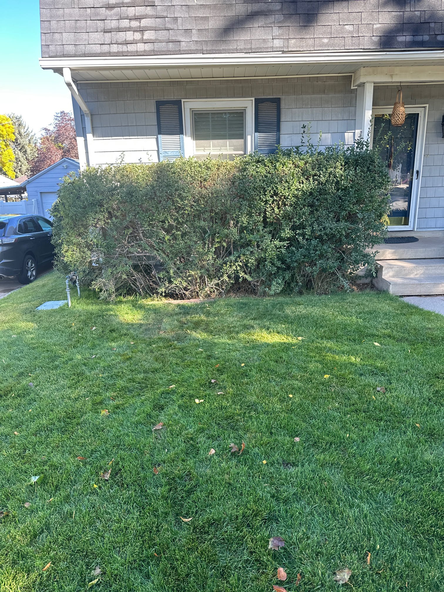 Bathroom with sewage smell, indicating potential septic tank issues. Image relates to sewage odor removal and addresses the question of why a shower might smell like sewage.