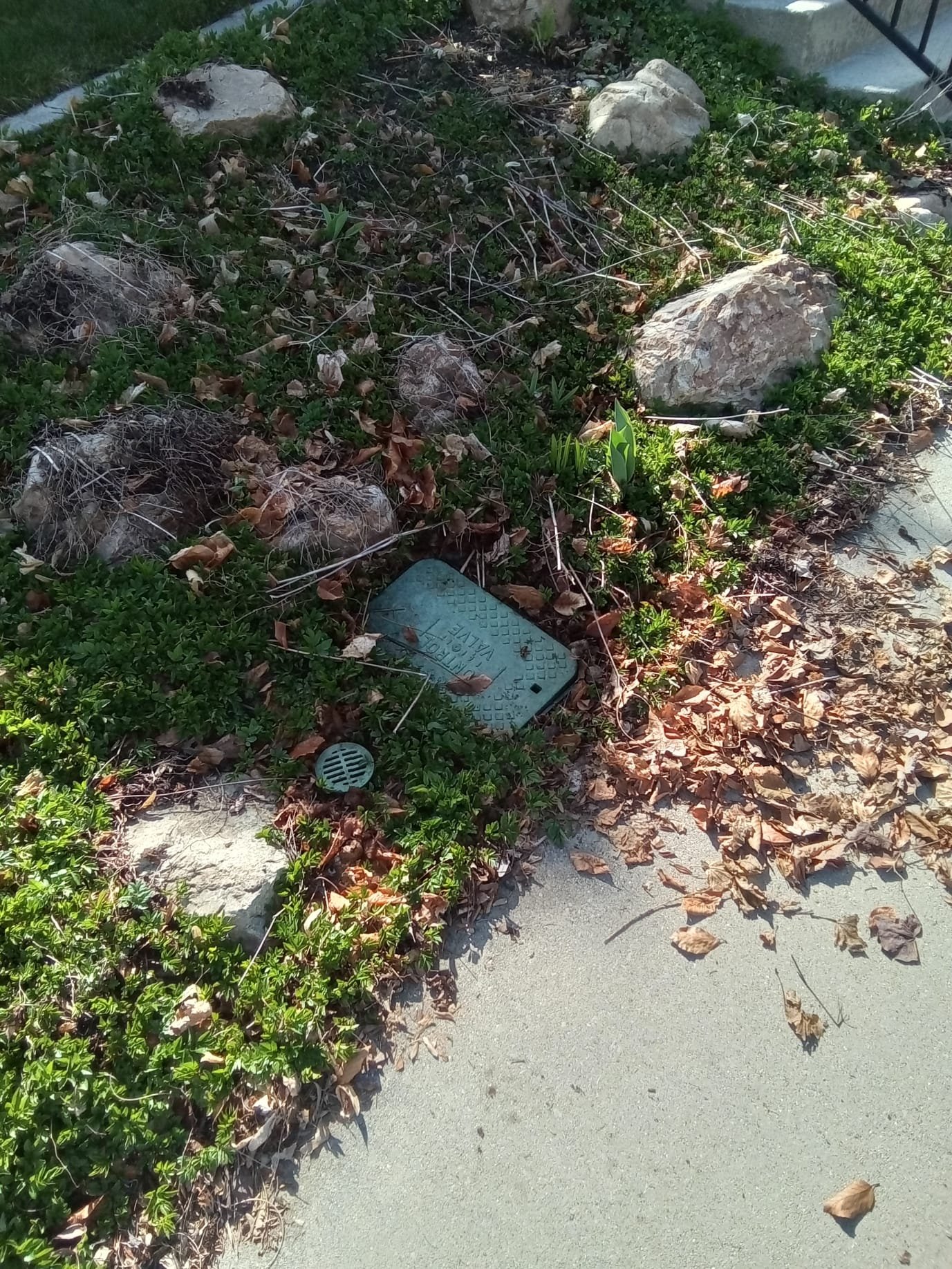 Image depicting readily available plumbing services. Find 24/7 plumbers near you with free estimates. Read reviews to choose the best local plumber for your needs.