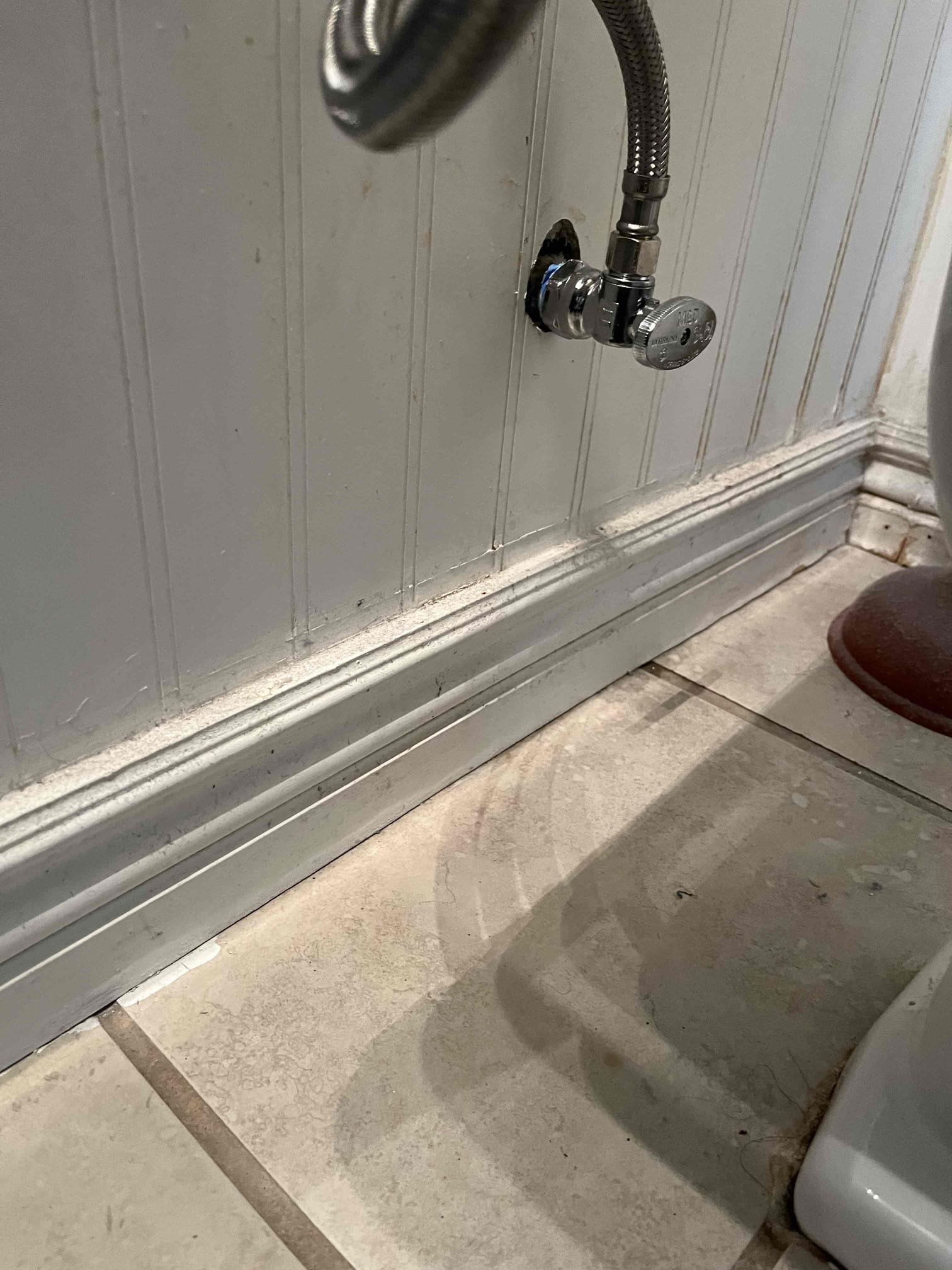 A smiling plumber stands proudly beside a newly repaired sewer line, tools neatly organized in the background. Lush green grass and healthy trees surround the area, visually demonstrating the positive impact of professional sewer line maintenance on the landscape and overall property health.