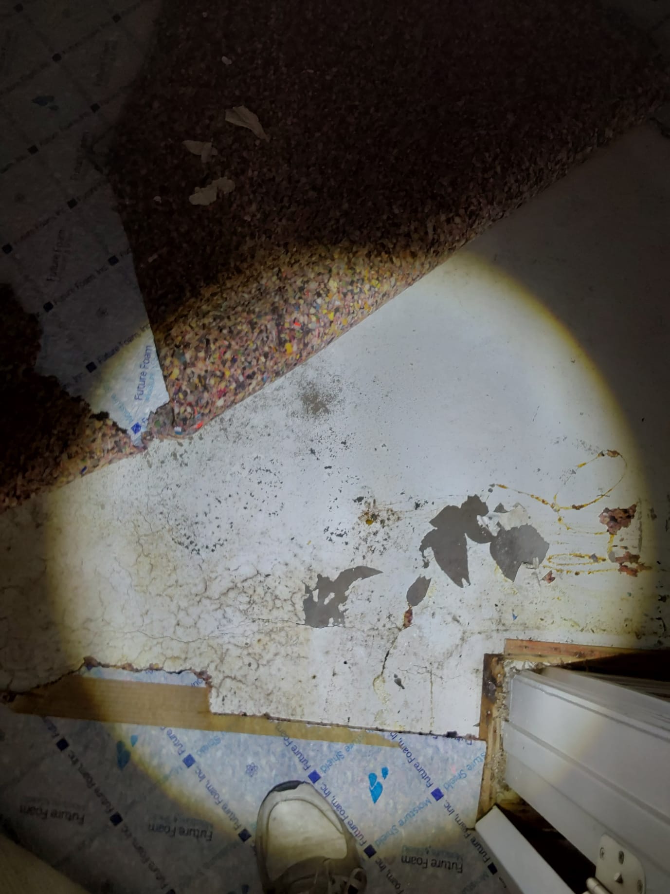 Specialized lining equipment protects basement ceilings from water damage during grease trap emptying, preventing costly repairs and ensuring a clean, safe environment.