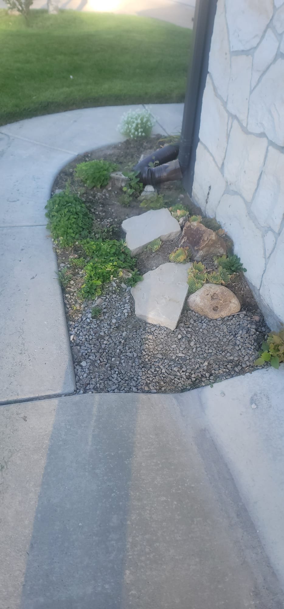 Clean attic space after professional mold remediation showcases restored wood and improved air quality, highlighting the benefits of addressing mold damage.