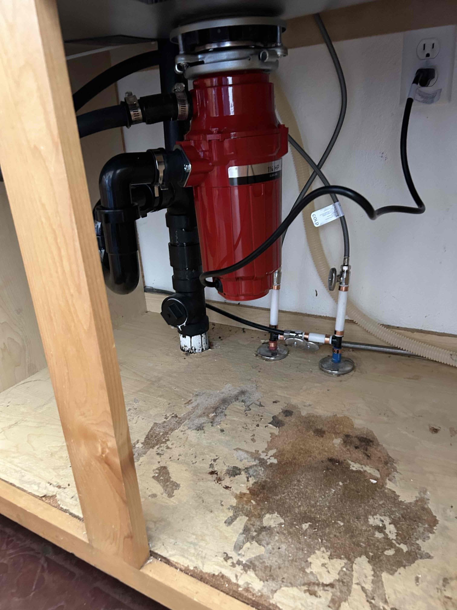 Professional basement mold remediation service. Expert mold mitigation in basements, restoring a healthy and safe environment. Comprehensive mold removal and restoration for basements.