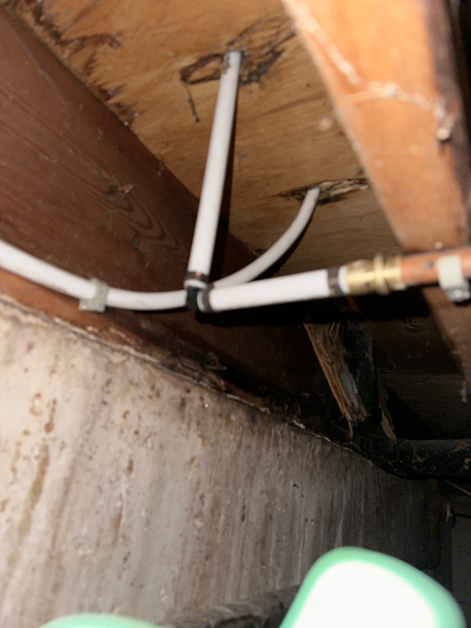 Before-and-after shot of a commercial building. The 'before' side shows visible mold growth. The 'after' side is clean and bright, highlighting the successful mold cleanup and repair, emphasizing a healthier and safer workspace.