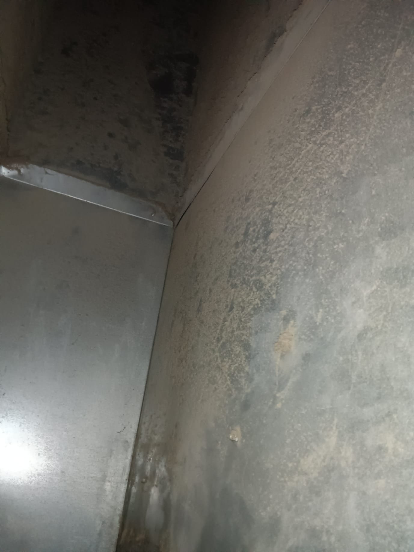 Residential mold repair and installation services. Image depicts troubleshooting mold issues in a home. Expert solutions for mold remediation, removal, and prevention to protect your home and family's health.