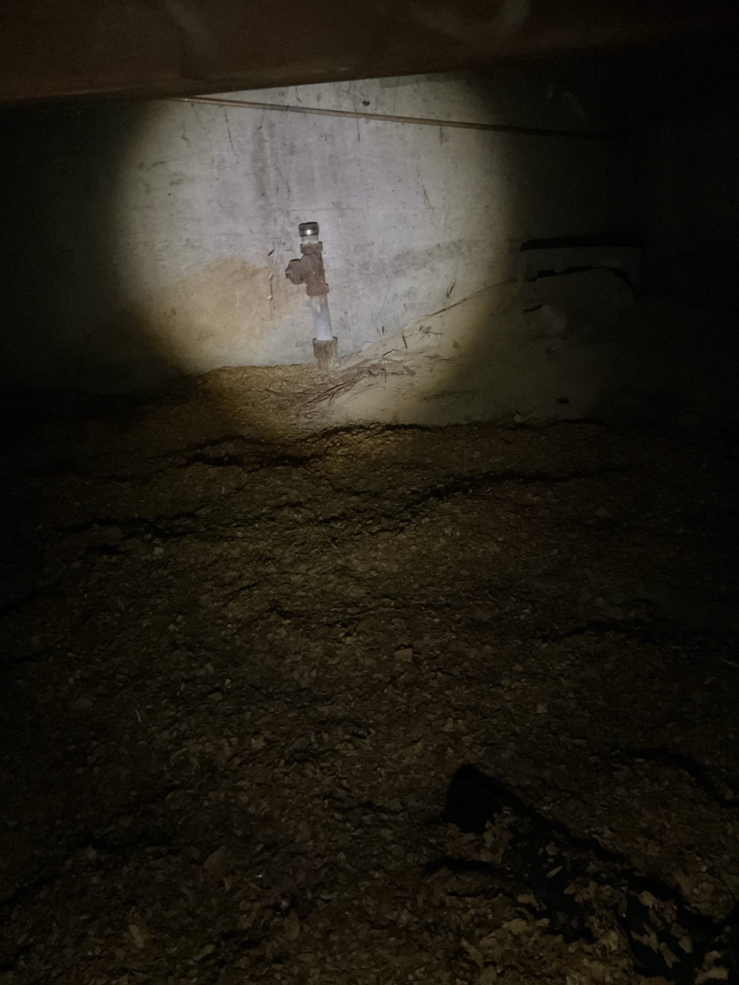 Image depicting a 24-hour plumber addressing a sewer backup issue in a home, emphasizing the importance of residential sewer maintenance to prevent costly damages. This visual relates to whether homeowners insurance covers such incidents, prompting viewers to consider preventative measures and understand their insurance coverage.