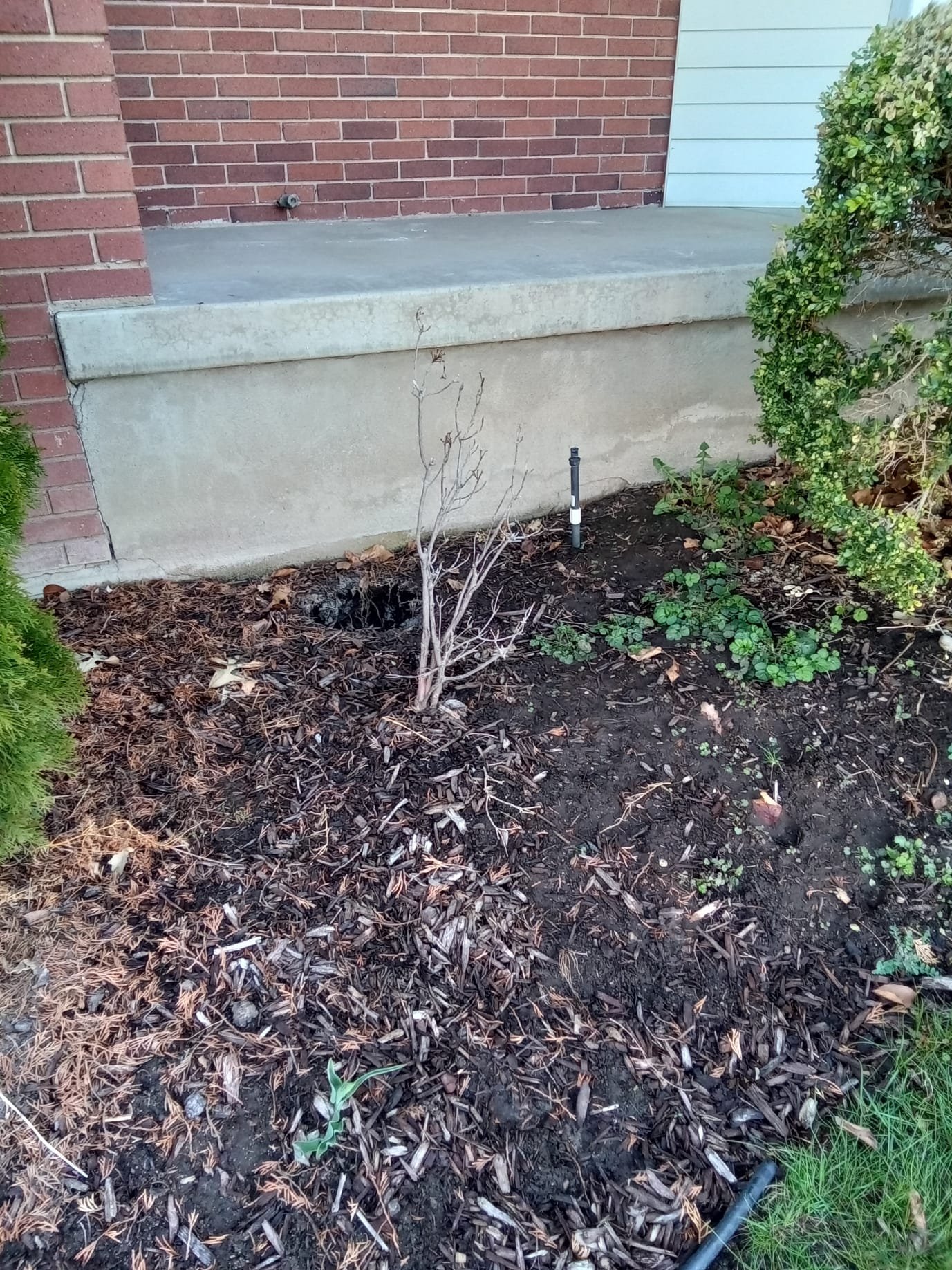 A gleaming new hot water heater installed in a clean, modern utility room, suggesting a worthwhile investment and the peace of mind that comes with the best water heater replacement, justifying the water heater replacement cost.