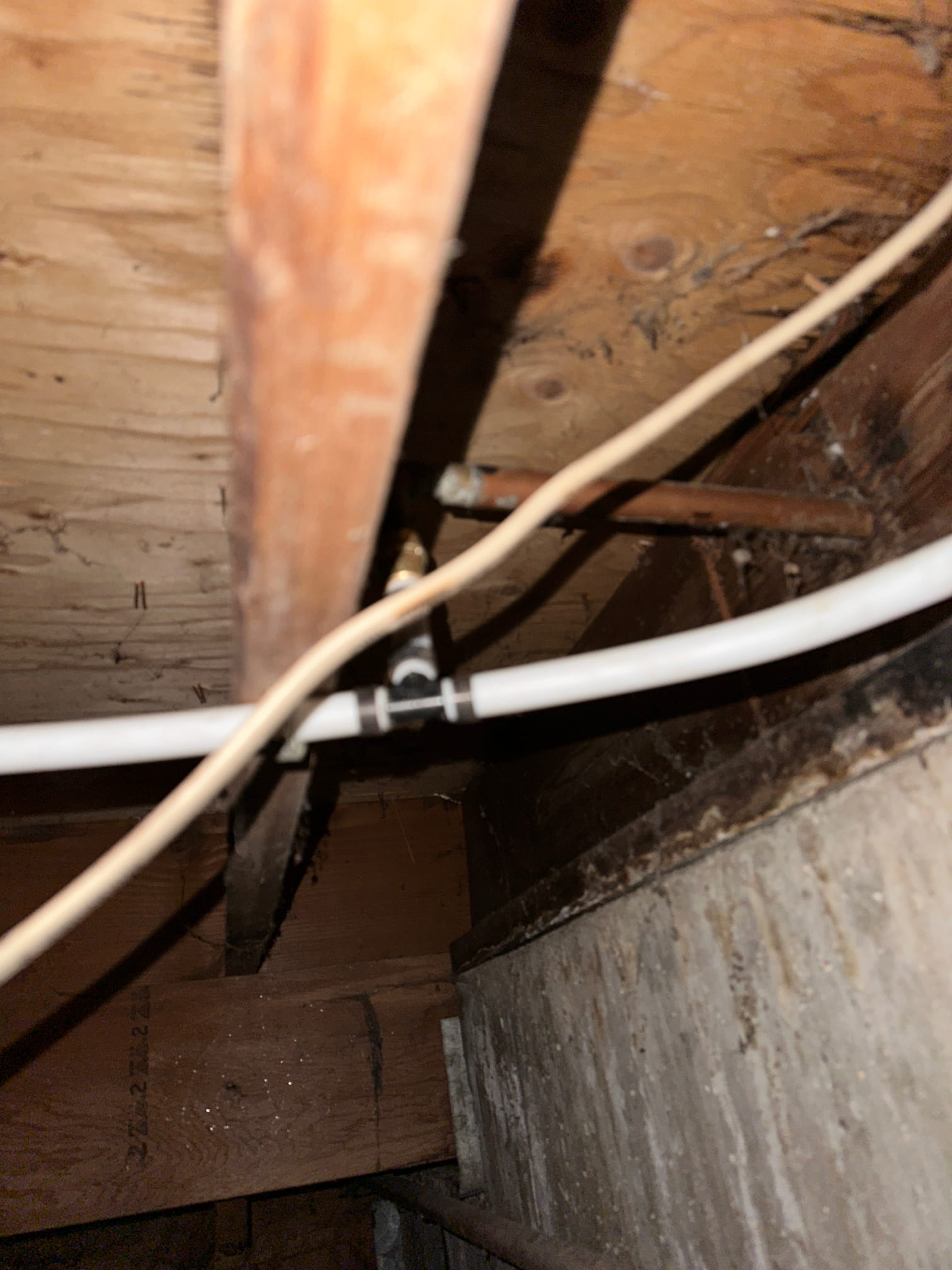 A before-and-after split image showcasing a commercial space. The 'before' side shows visible mold growth on a wall, while the 'after' side depicts a clean, mold-free surface. The 'after' side is brighter and more inviting, suggesting a healthier and more appealing business environment, implying value and cost-effectiveness.