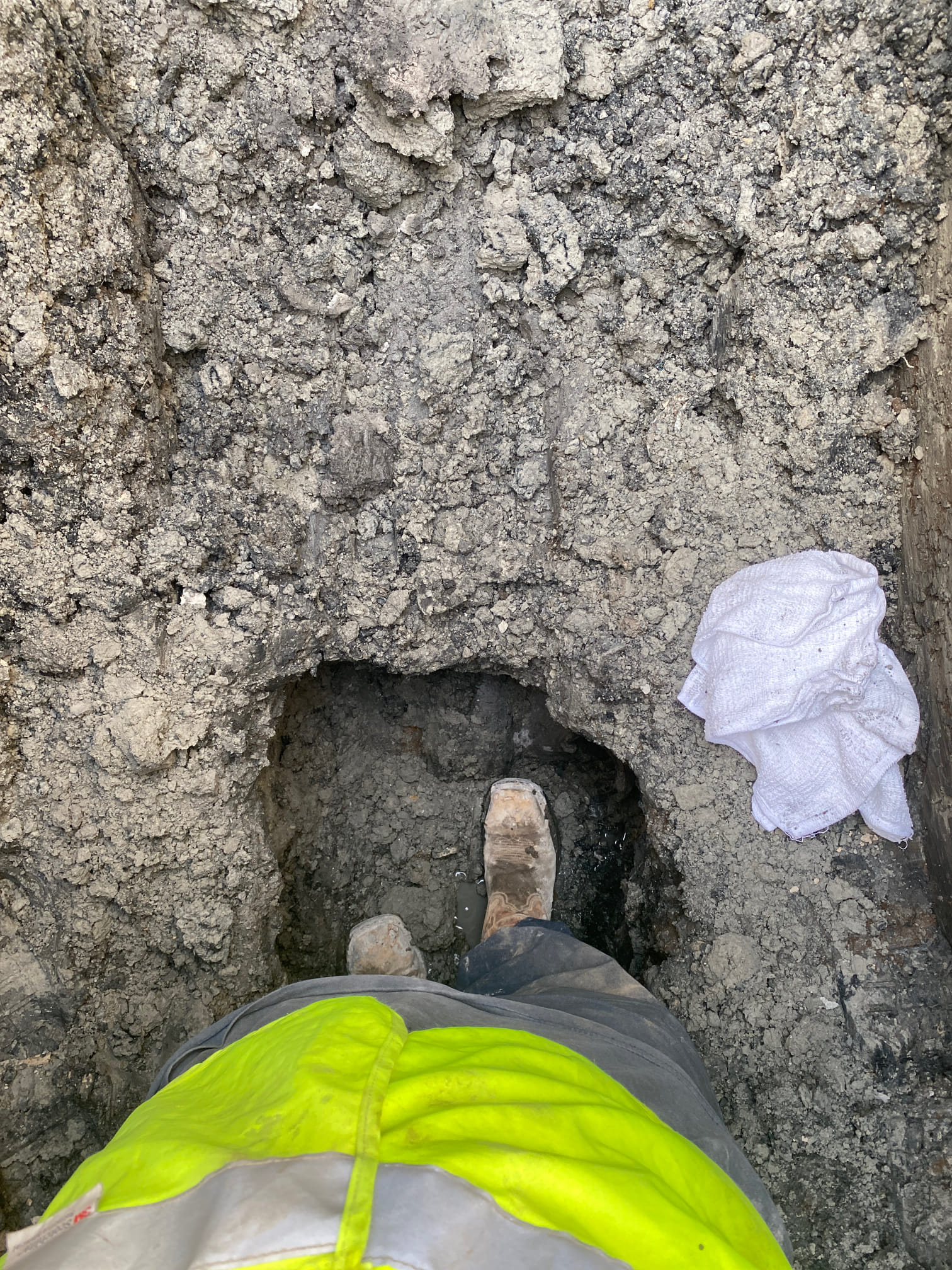A team of uniformed professionals efficiently removes a fallen tree from a damaged home under a clear sky, emphasizing safety and restoration after a storm. The image highlights the benefits of insured storm and disaster cleanup by a reputable company, showcasing restored property and peace of mind.