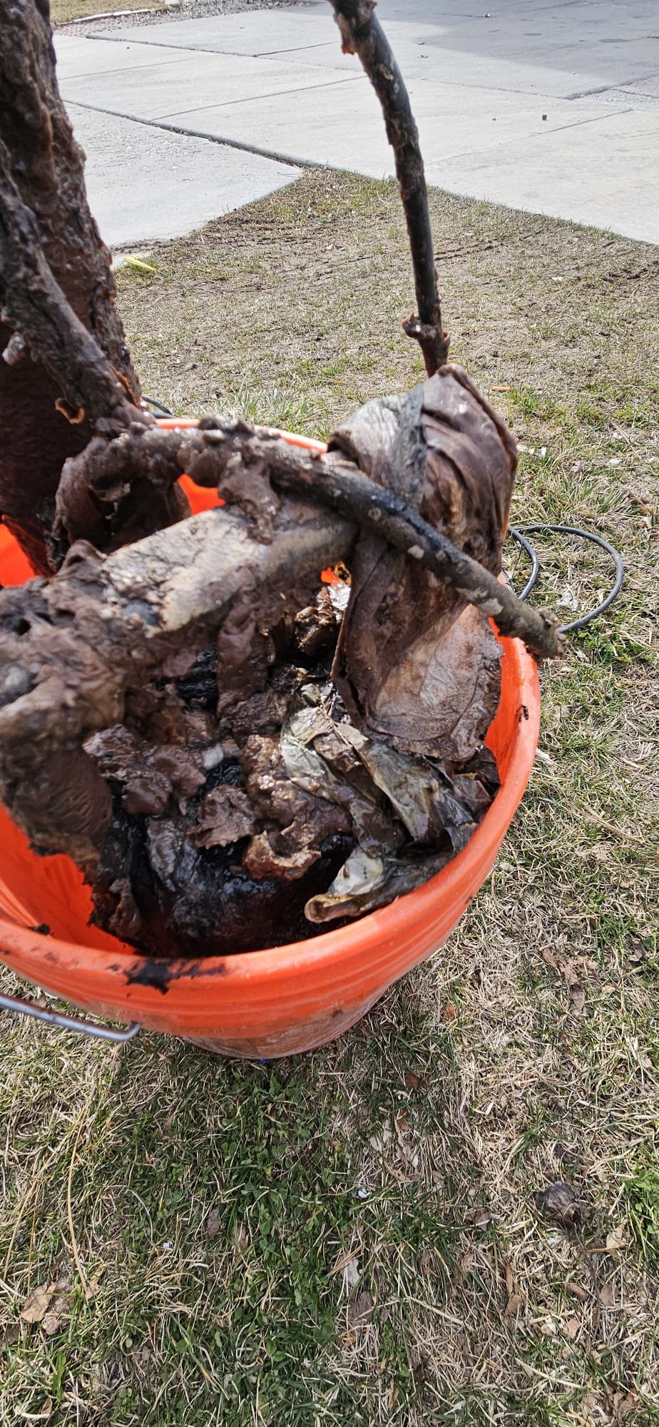 Clean water flowing from a house sediment filter, symbolizing the prevention of solids entering the septic system, a key step in septic tank maintenance. Clear pipes suggest a well-maintained system, reducing the risk of sewage backups and the need for professional remediation.