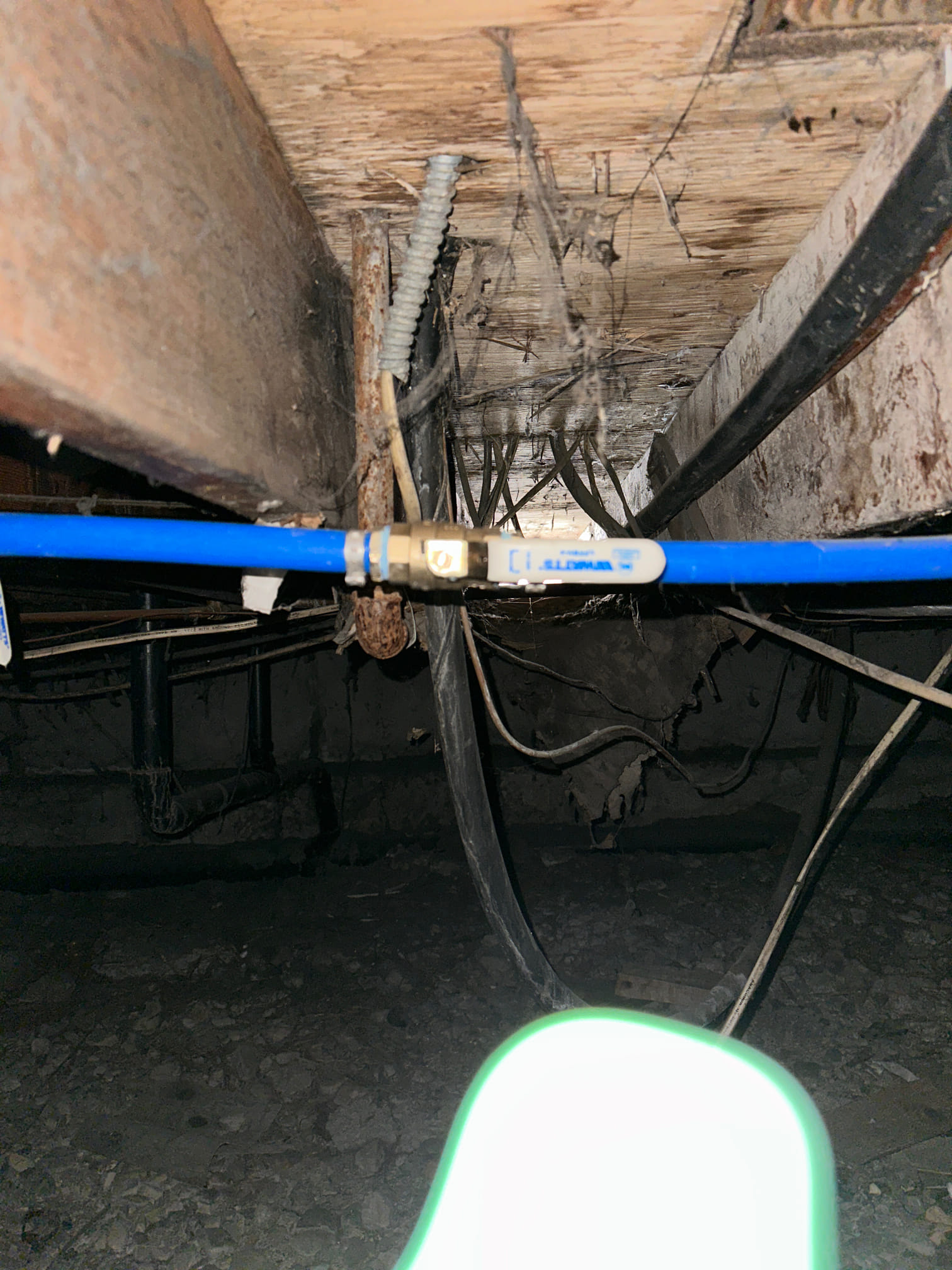 Commercial mold cleanup services professionally removing mold from a business. Expert mold remediation ensures a safe and healthy work environment.