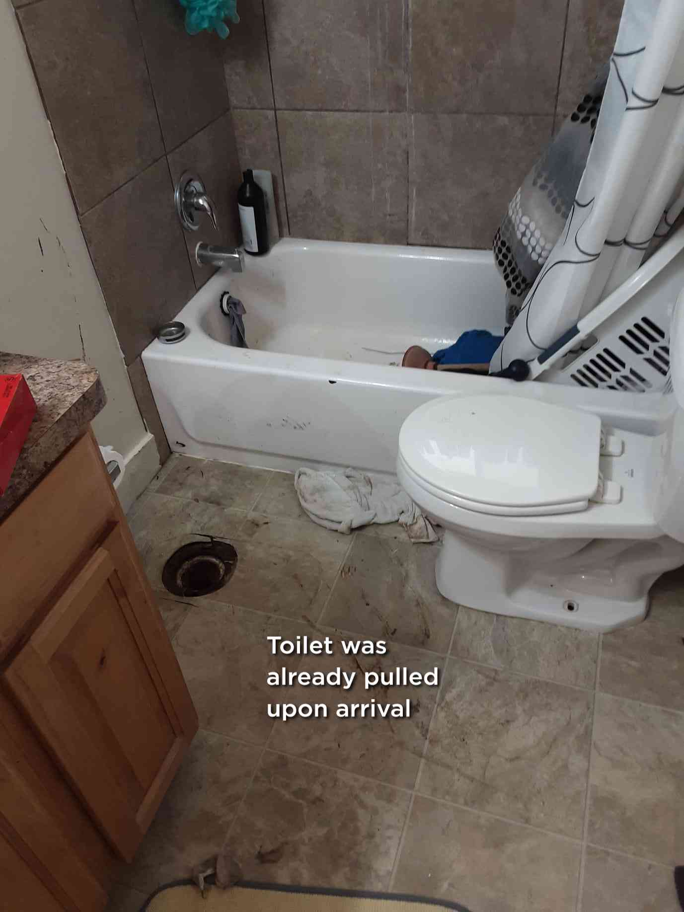 Image depicting toilet maintenance, highlighting the importance of proper installation to avoid costly repairs. Consider professional toilet installation for long-term savings and to prevent future plumbing issues. Learn about toilet installation cost and the value of quality workmanship.