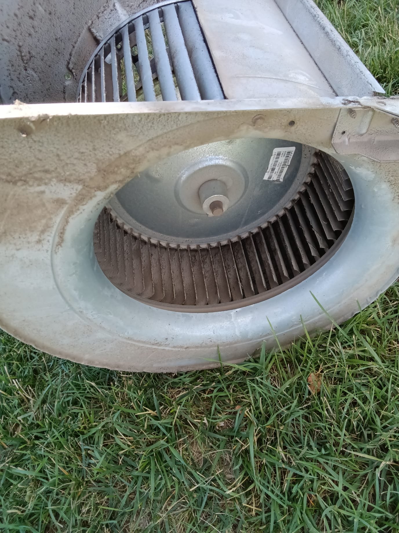 Sparkling, clean bathroom with a professionally repaired jetted bathtub. Evidence of recent mold remediation ensures a healthy, relaxing bathing experience, free from noisy disruptions and visible mold.