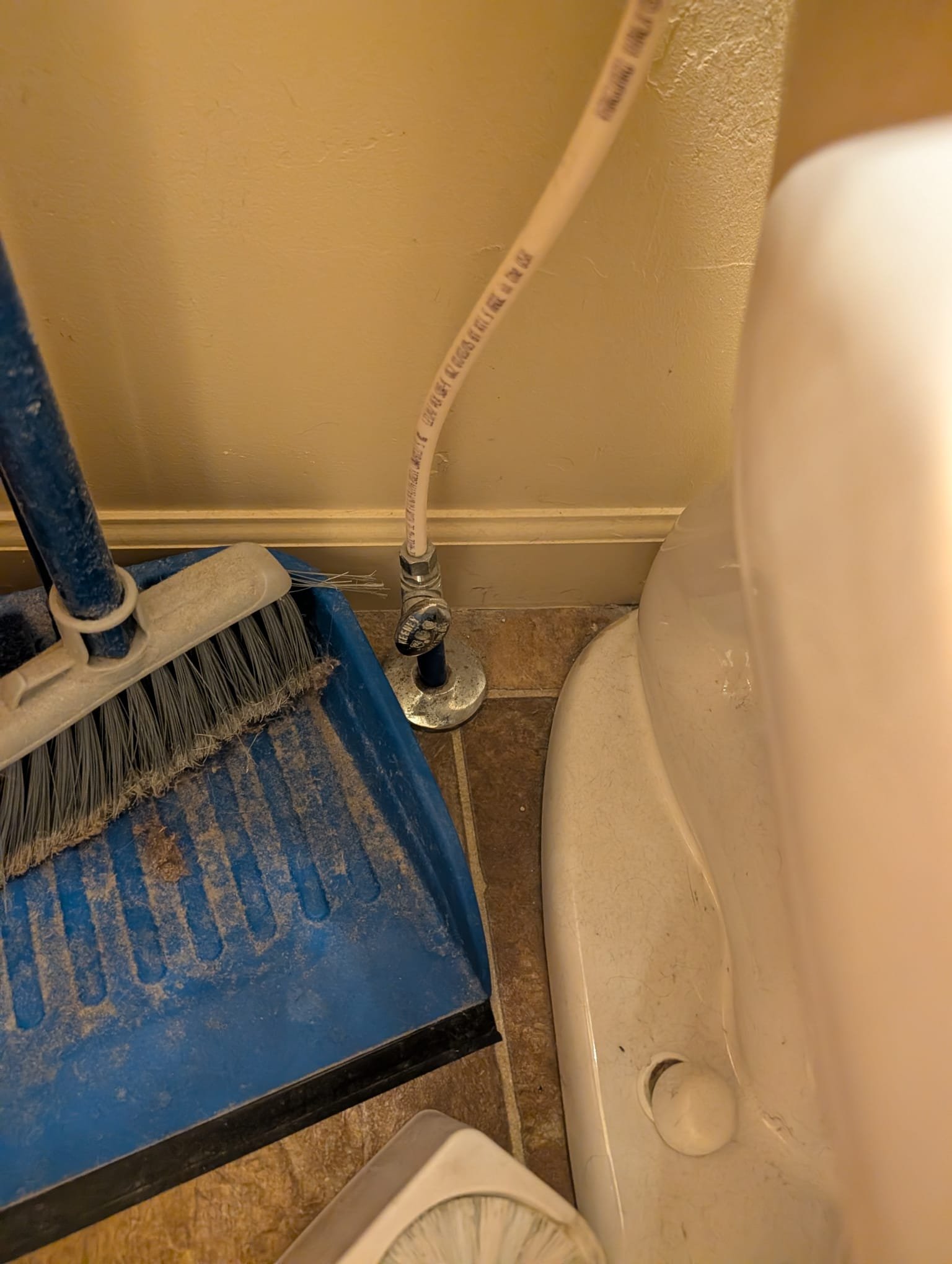 Aftermath of a pipe burst in a flooded home. Consider a CCTV drain inspection by [Company Name] to prevent future disasters. Identifying vulnerabilities early saves costly repairs.