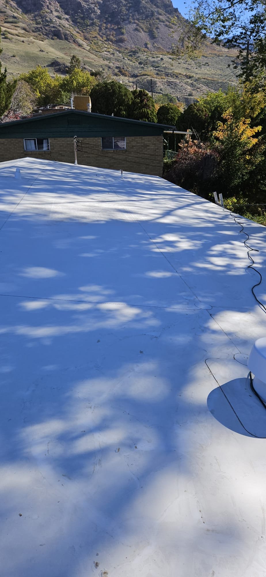 Close-up of a sewer opening with a device emitting a green, odorless vapor, symbolizing a sewer smell detector in action. The clear air above suggests effective odor control and improved sewer service.