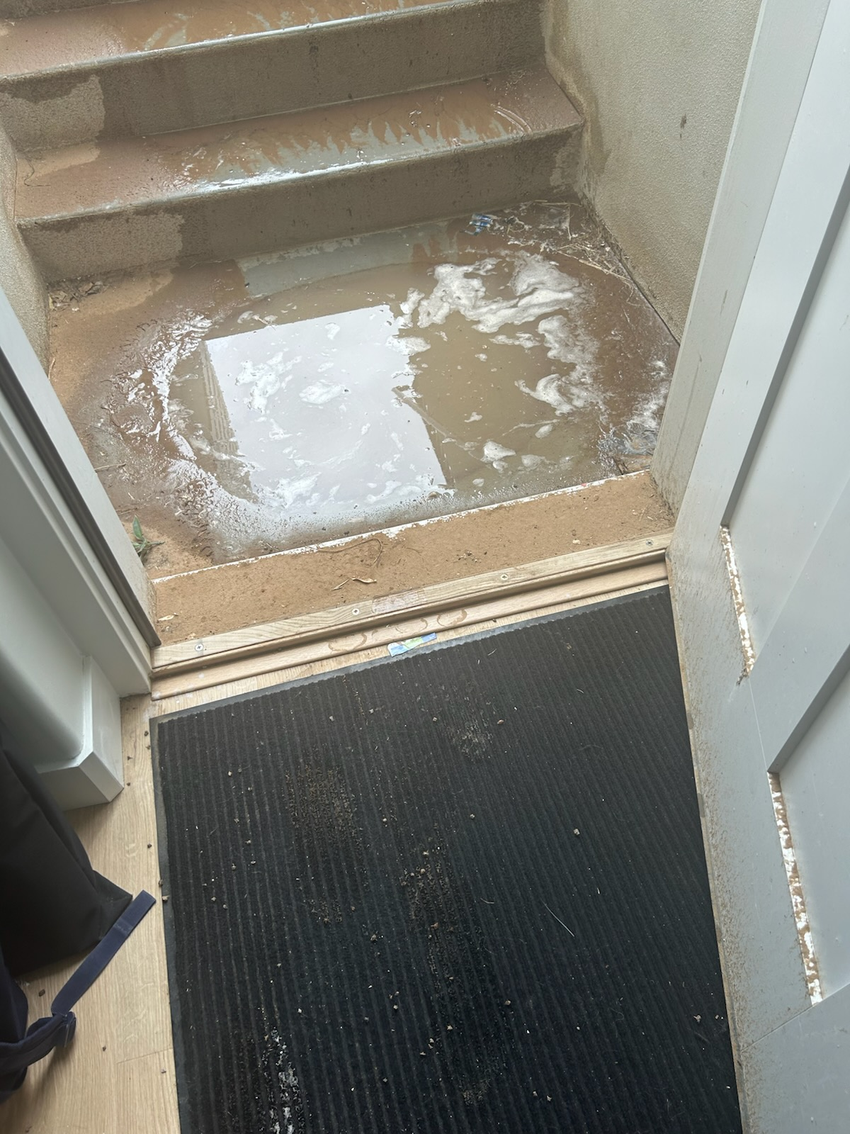 Image showcasing a pristine commercial property with newly installed French drains, highlighting the effectiveness of drain rooter services and preventing future water damage. Healthy landscaping emphasizes the benefits of professional commercial drain repair and proactive water management.