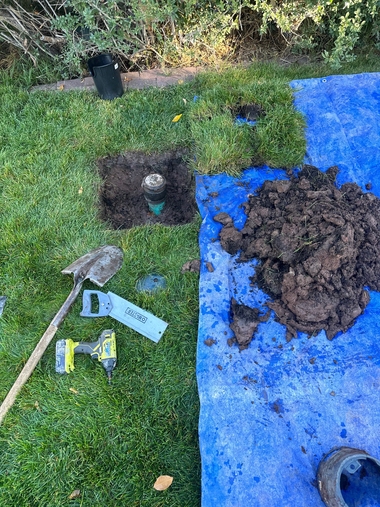 Clean, dry basement with air purifier, suggesting effective sewage odor removal after backup repair. Focus on the 'after' - a fresh, usable space.