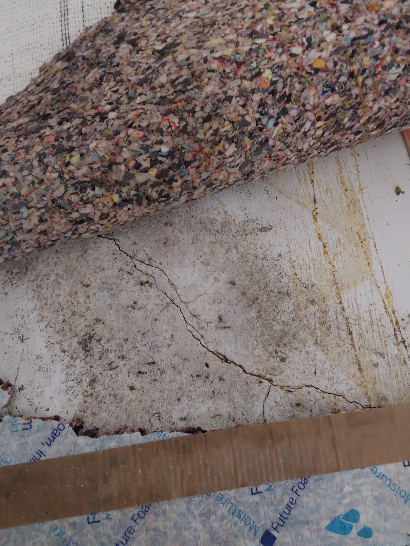 Clean grease trap being emptied, preventing overflows and potential water damage, offering an affordable solution to keep basements dry and ceilings intact.