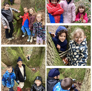 Habitat trail and animal handling 🪺🐾