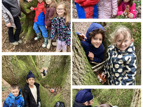 Habitat trail and animal handling 🪺🐾