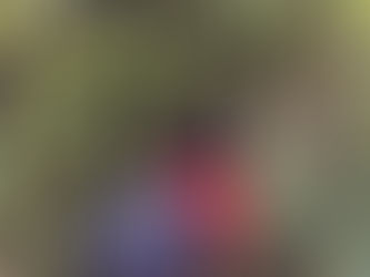 Year 2 trip to Kingswood!