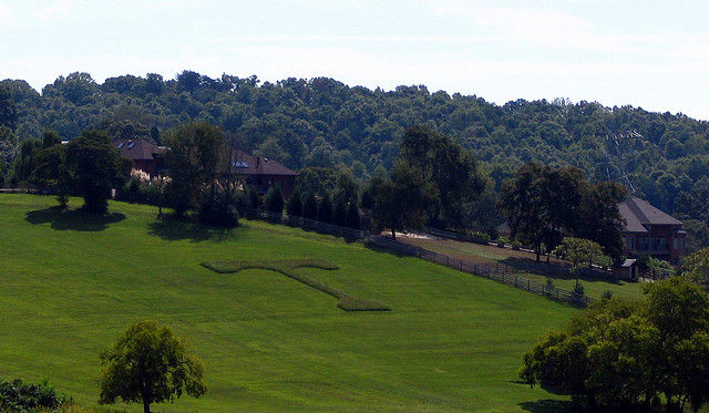 University of Tennessee.jpg