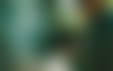 Honoring Service and Sharpening Listening Skills