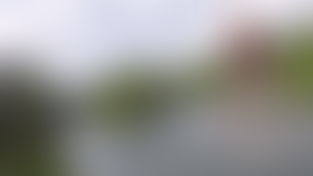 Rock Your Family at SpringHill