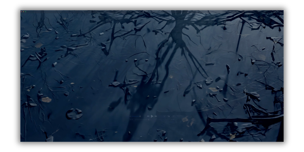 Faded Light: performance visual 1.