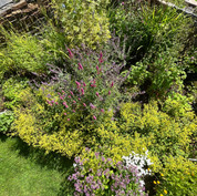 Naturalistic gardendesign