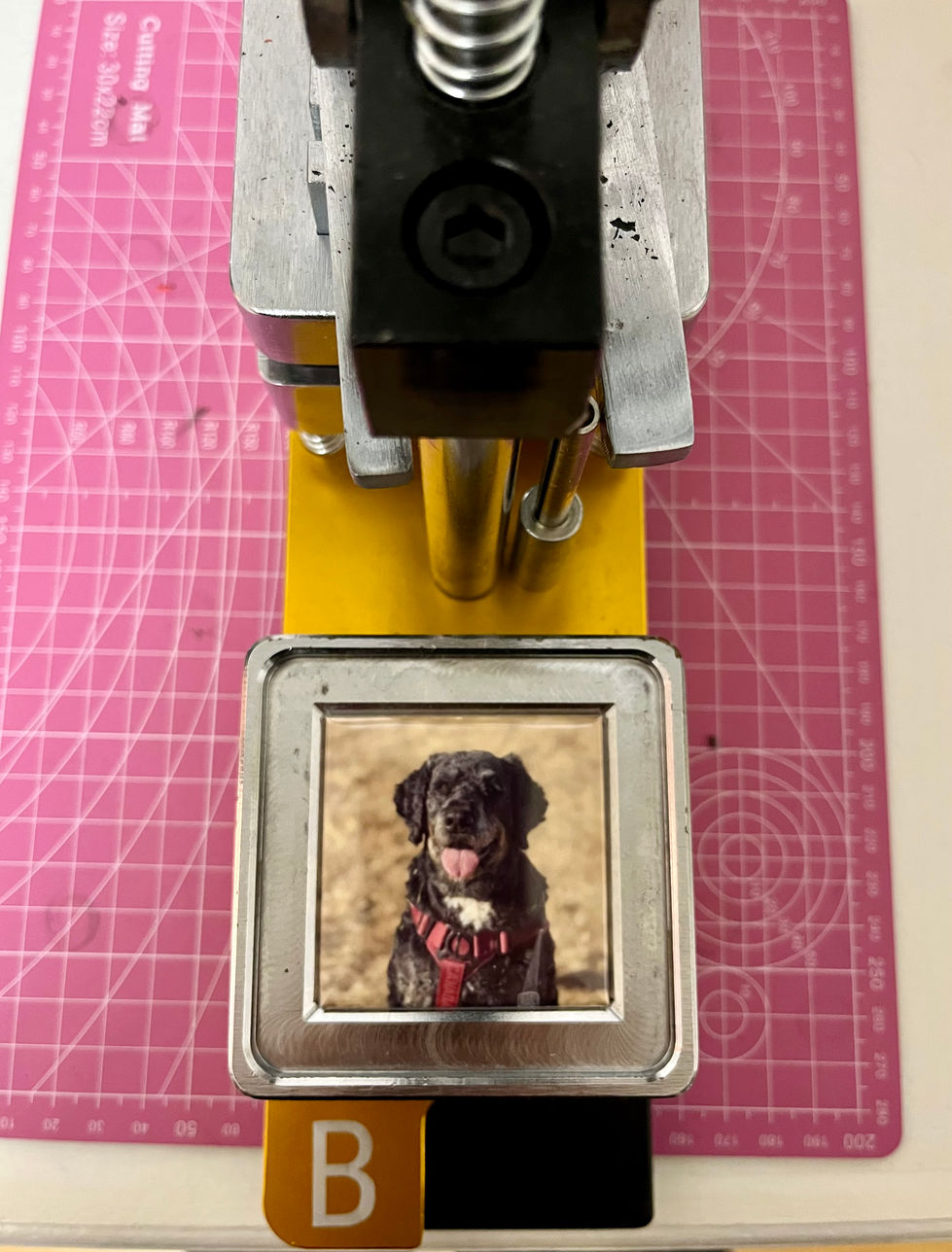 We can't forget your adorable pets!