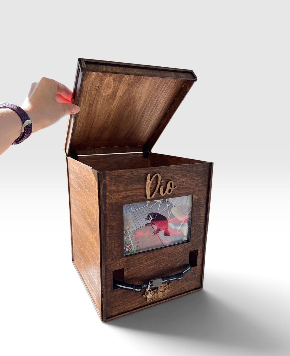Memorial box/urn and collar holder