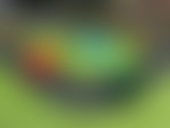 The Benefits of Outdoor Play for Children: Embracing the Great Outdoors at Our Nursery