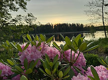 IMG_0943.JPG