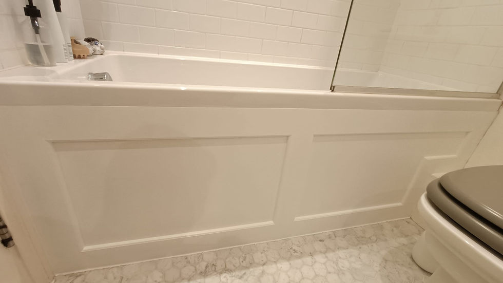 bath panel1.jpeg