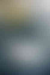 Global Modern Wedding