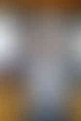 Newport Wedding Planner