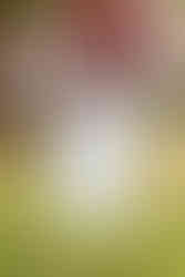 Backyard Massachusetts Wedding