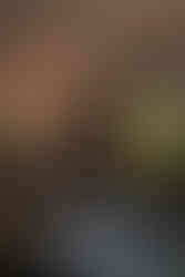 State Room Boston Wedding