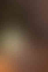 Romantic March Wedding in Boston