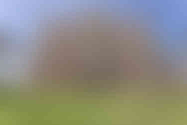 Florida Destination Wedding Planner