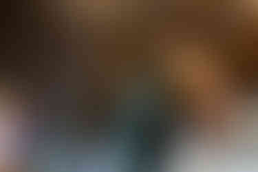 Backyard Massachusetts Wedding