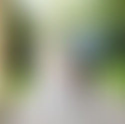 Courtney and Philipp's Boston Seaport Wedding