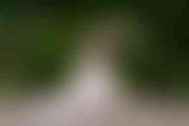 Garden Party Wedding