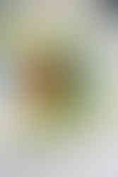 Global Modern Wedding