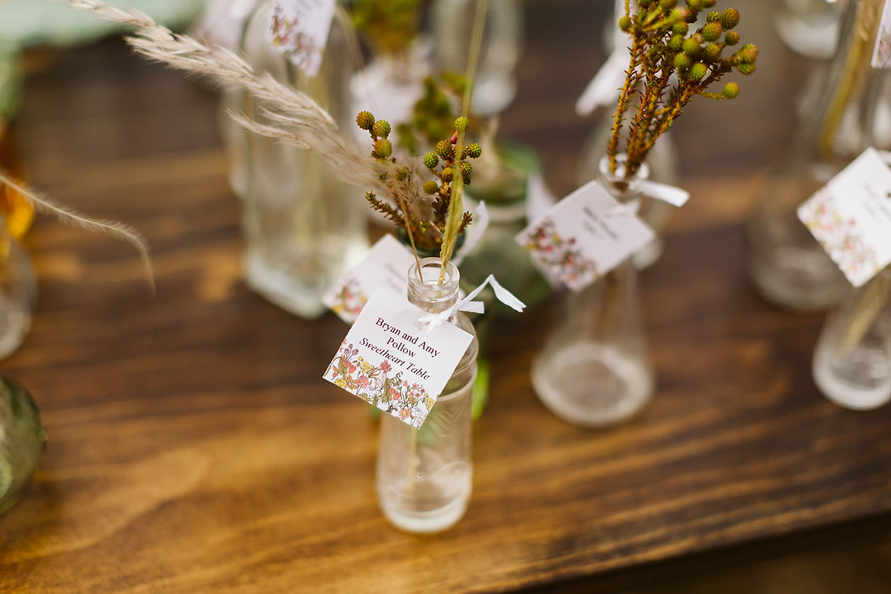 Backyard Massachusetts Wedding