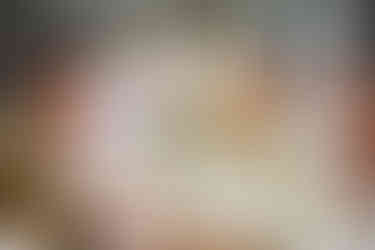 Backyard Massachusetts Wedding