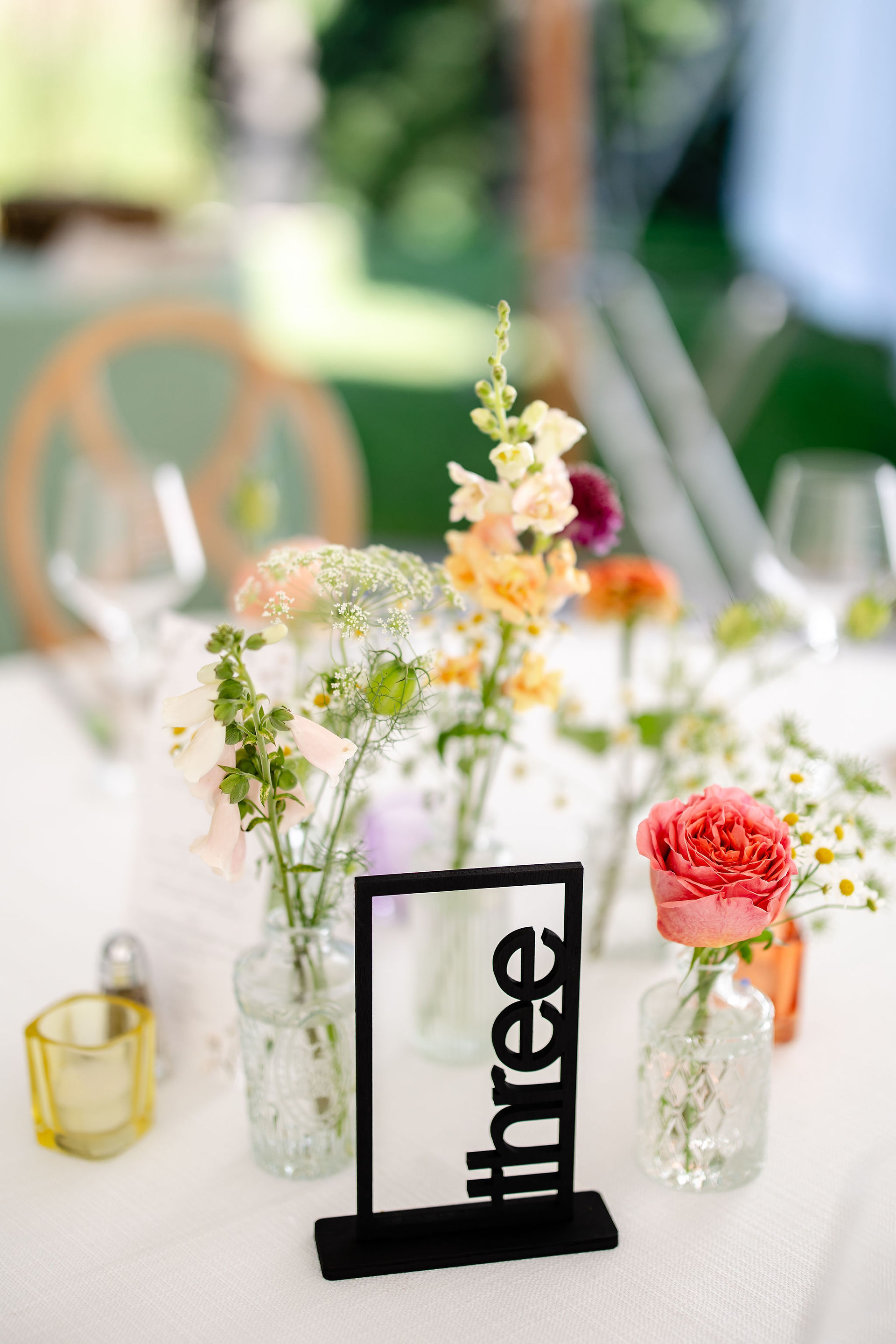 Wedding at deCordova Sculpture Park